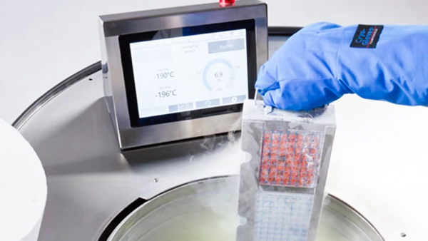 如何正確使用液氮罐？貝爾科技來告訴你