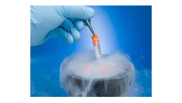 冷凍卵子設備安全嗎-BEOL青島貝爾智能科技為您答疑2021.11.20