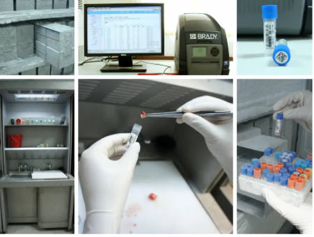 樣本庫管理系統(tǒng)