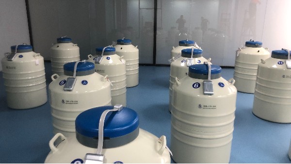 實驗室液氮罐可以用來儲備液氮并且排放氣體的這款設備都有哪些優勢呢？24.9.19