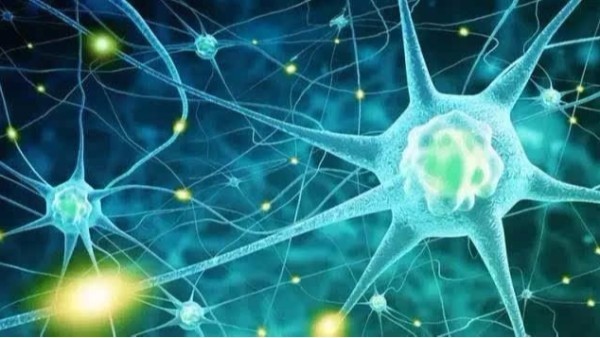 BEOL青島貝爾智能科技重磅消息！由王福生院士主導(dǎo)的 “人間充質(zhì)干細(xì)胞治療重癥肝病多中心臨床研究”項(xiàng)目啟動(dòng)（附患者招募公告）2021.10.12