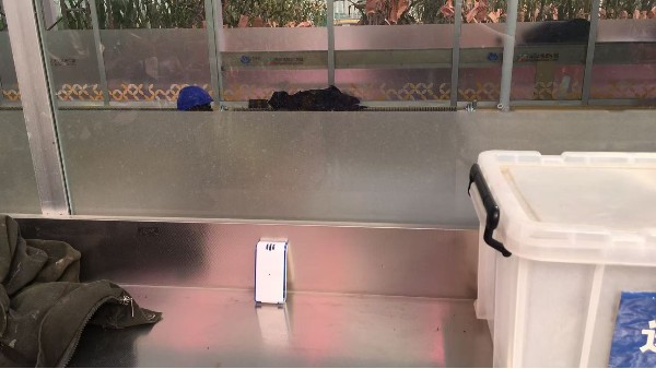 貝爾科技溫度監控系統賦能農業公司種子大棚開啟精準溫度監控新時代24.11.6